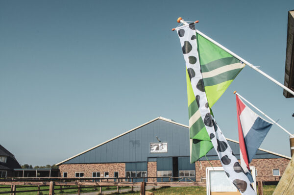 Wimpel met koeienprint - Image 3
